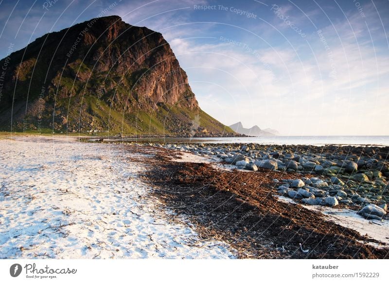 typisch lofoten Landschaft Sand Wasser Schönes Wetter algen Hügel Felsen Küste Strand Stein Norwegen Lofoten Unendlichkeit natürlich schön Abenteuer Einsamkeit