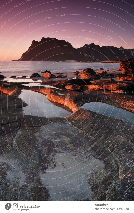 sonnenuntergang auf den lofoten Landschaft Wolkenloser Himmel Sonnenaufgang Sonnenuntergang Schönes Wetter Felsen Küste Strand ästhetisch außergewöhnlich