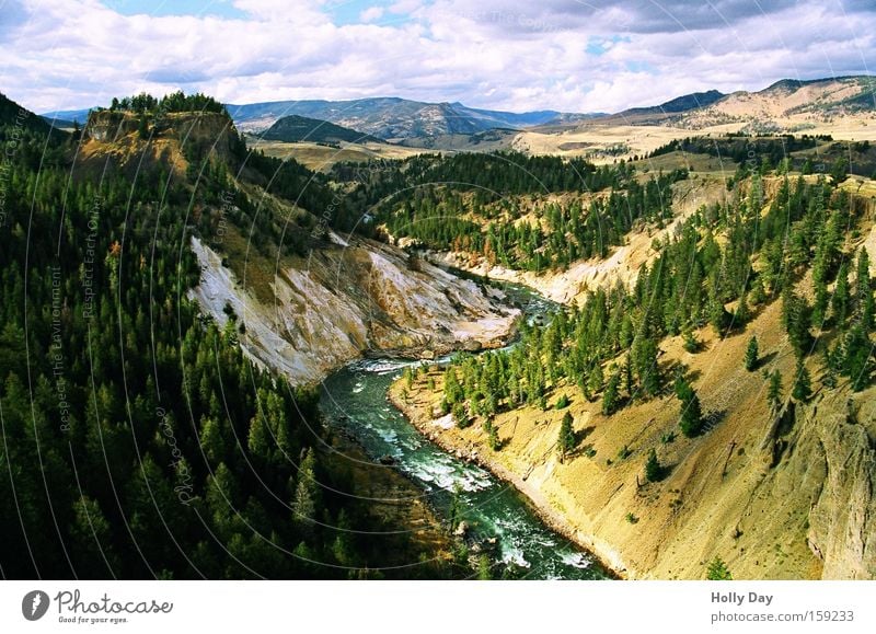 Yellowstone River Fluss Baum grün Berghang Wasser Wolken Wald Nationalpark Felsen Stromschnellen Landschaft Schatten Bach USA Küste