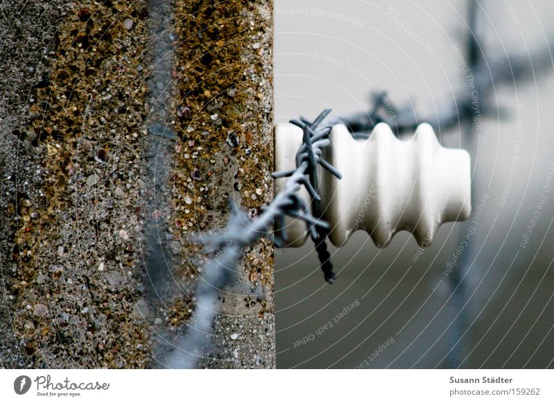 Gedenkstätte Stacheldraht Rost Metall Metallwaren Stein Zaun Schutz Sicherheit Mord Buchenwald erinnern Denkmal Detailaufnahme Wand Verfolgung Vergangenheit