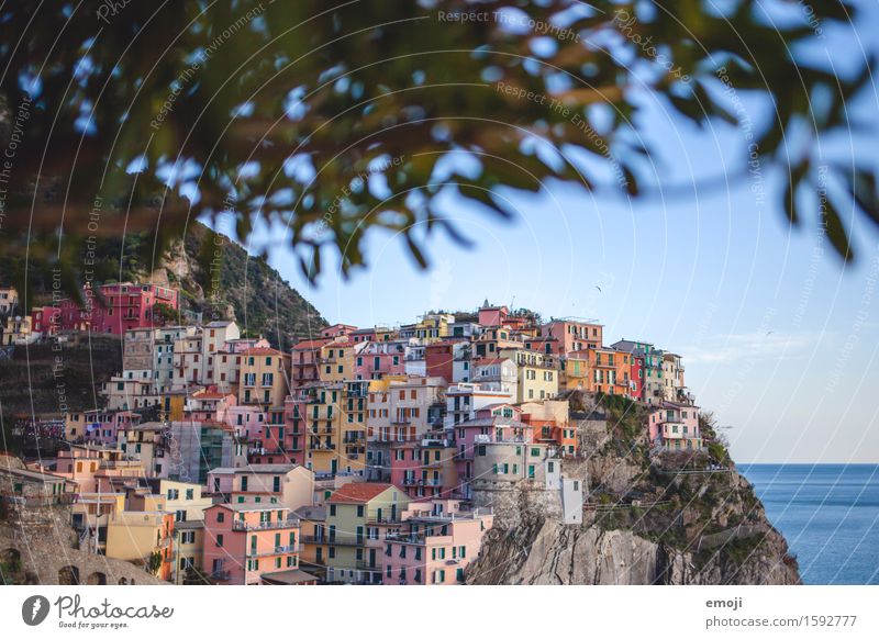 Cinque Terre Schönes Wetter Küste Fischerdorf Kleinstadt Stadtrand Haus Sehenswürdigkeit außergewöhnlich exotisch Weltkulturerbe Ferien & Urlaub & Reisen