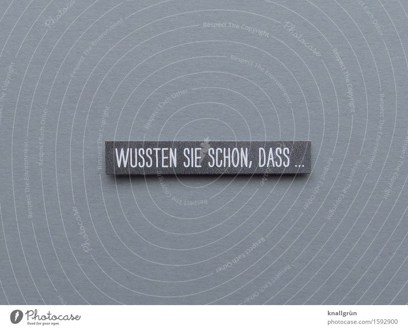 WUSSTEN SIE SCHON, DASS ... Schriftzeichen Schilder & Markierungen Kommunizieren eckig grau weiß Gefühle Begeisterung Neugier Interesse entdecken Erwartung