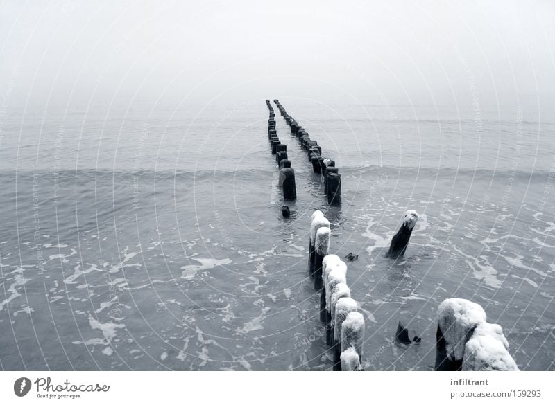 Winter am Meer Wasser Ostsee Schnee kalt Wellen Buhne Schwarzweißfoto grau Strand Küste