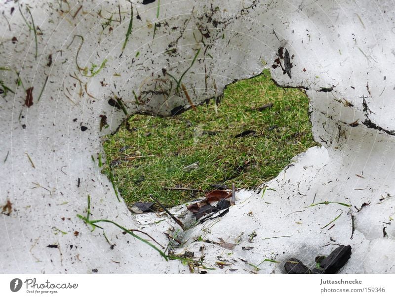 Das Fenster zum Frühling Winter Schnee Gras Wiese Loch tauen zuletzt Rest Tauwetter März Freude Juttaschnecke