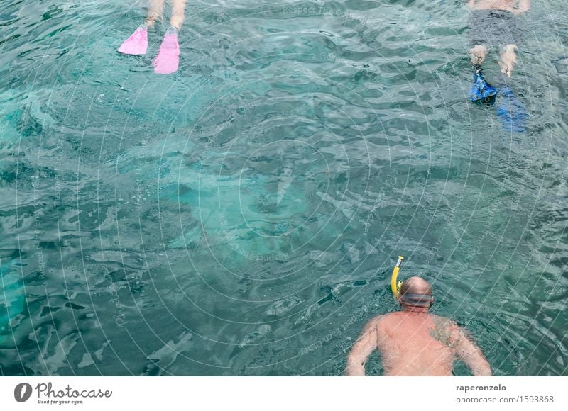 Ein paar Stunden wässern Ferien & Urlaub & Reisen Tourismus Sommer Sommerurlaub Meer tauchen Schnorcheln Wasser Mann Erwachsene 3 Mensch See Schwimmen & Baden