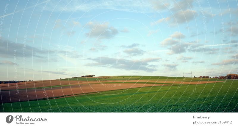 stockfield Feld Landwirtschaft Wiese Bioprodukte Biologische Landwirtschaft Landschaft Ackerbau Natur Jahreszeiten Panorama (Aussicht) Himmel Wolken Frühling