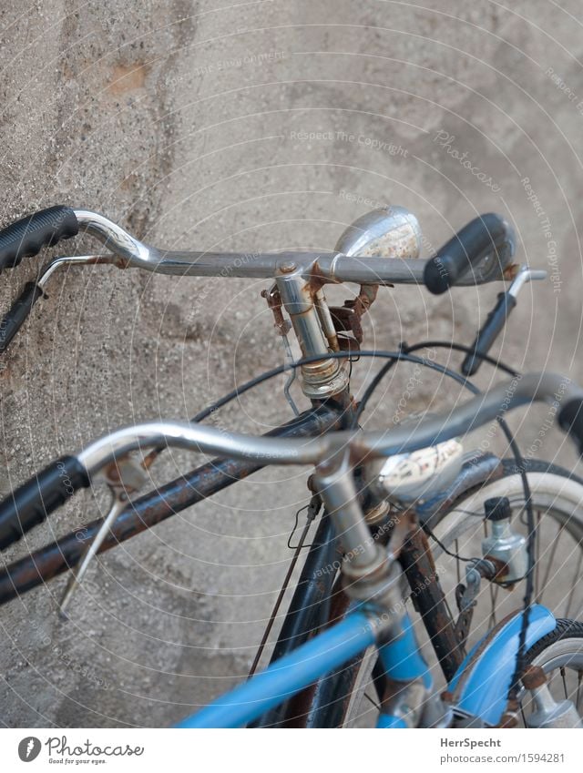 Old friends Verkehrsmittel Straßenverkehr Fahrzeug Fahrrad alt einzigartig retro blau grau parken Hollandrad paarweise Zusammensein Rost Fahrradlenker