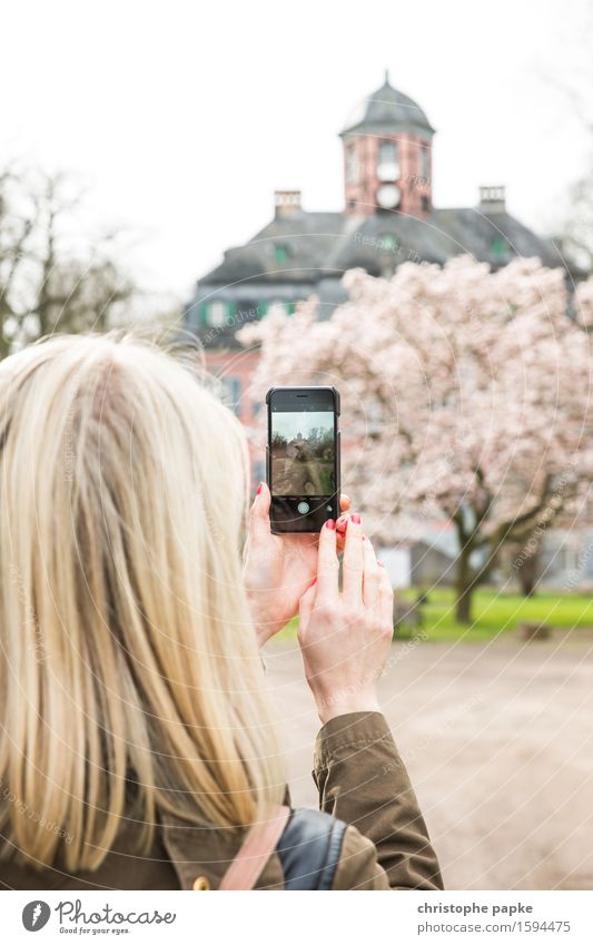 Im Fokus Freizeit & Hobby Junge Frau Jugendliche Erwachsene Kopf Haare & Frisuren 18-30 Jahre 30-45 Jahre Baum Blühend blond Frühlingsgefühle Fotografieren PDA