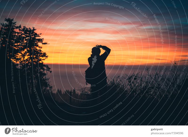 Großer Feldberg im Taunus Leben Sinnesorgane Erholung Ferien & Urlaub & Reisen Abenteuer Ferne Berge u. Gebirge wandern Landschaft Luft Himmel Horizont Sommer