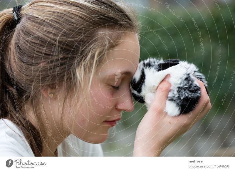 Gedankenaustausch Mädchen Kopf Gesicht Hand Finger 1 Mensch 8-13 Jahre Kind Kindheit Haustier Tiergesicht Fell Zwergkaninchen Hasenbaby Säugetier Nagetiere