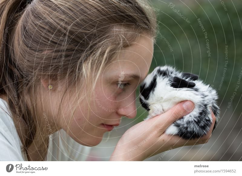 Schau mir in die Augen ... Mädchen Gesicht Arme Hand Finger 1 Mensch 8-13 Jahre Kind Kindheit Haustier Fell Hasenbaby Zwergkaninchen Nagetier Säugetier