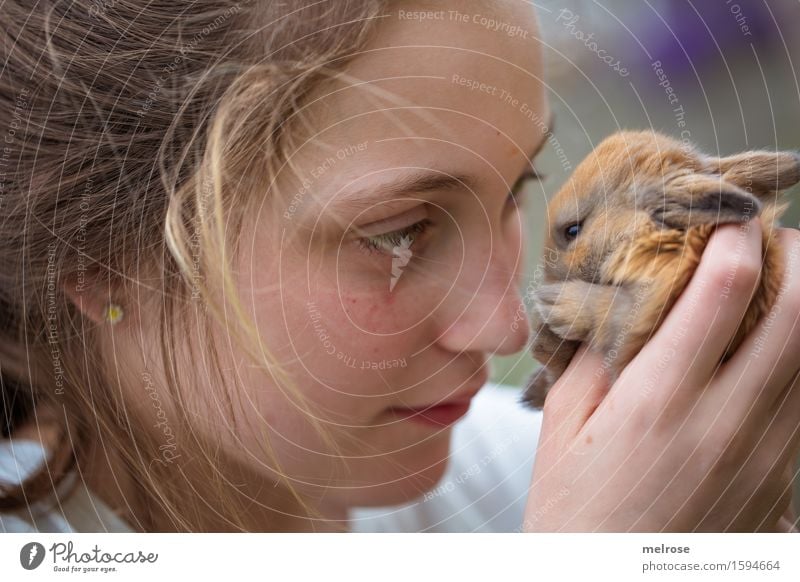 Du du duuuuuuuu ... Mädchen Gesicht Hand Finger 1 Mensch 8-13 Jahre Kind Kindheit Haustier Tiergesicht Fell Pfote Zwergkaninchen Hasenlöffel Nagetier Säugetier