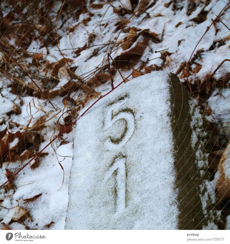 Ende der Einundfuffzig Ziffern & Zahlen Grab Grabstein Friedhof Schnee Eis kalt Blatt liegen ruhen Tod Frieden Ewigkeit Trauer Verzweiflung Vergänglichkeit