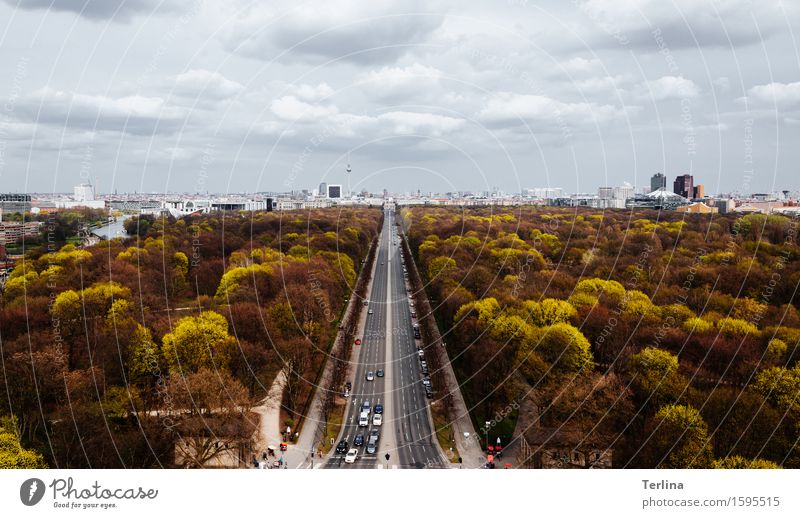 Über der Stadt Tourismus Ausflug Ferne Sightseeing Städtereise Natur Landschaft Himmel Horizont schlechtes Wetter Baum Hauptstadt Skyline Gebäude Verkehrswege