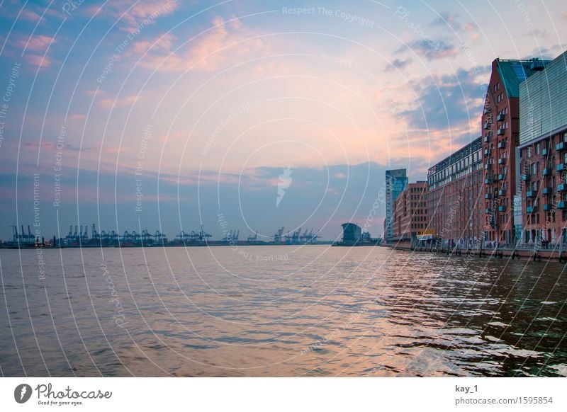 Blick von der Fähranleger "Hamburg Fischmarkt" in Richtung Westen. Wasser Himmel Küste Flussufer Hafenstadt Menschenleer Gebäude Schifffahrt blau orange Frieden