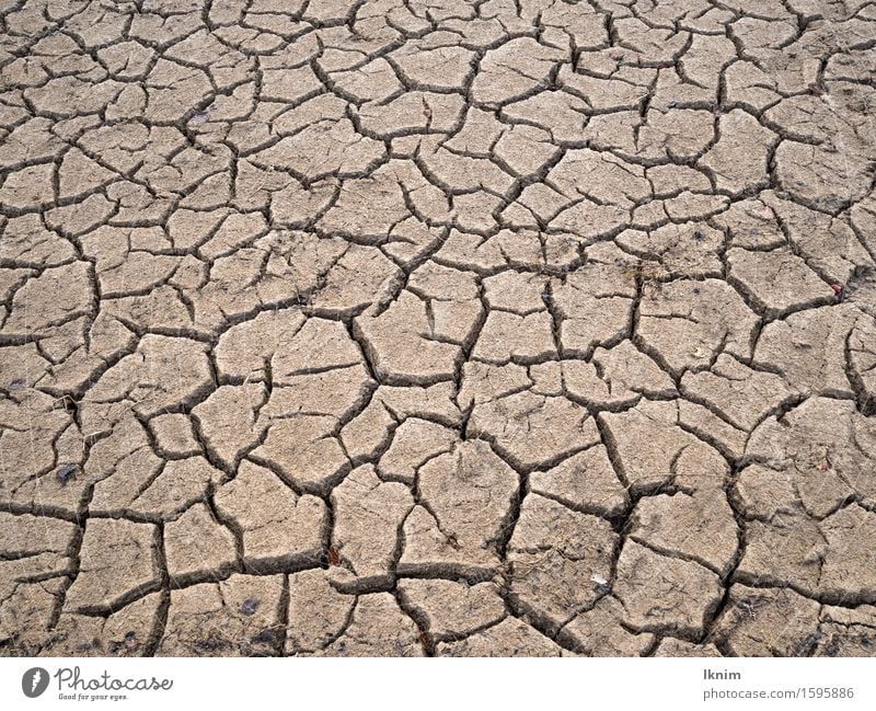 Risse im Boden, ausgetrockneter Acker Umwelt Erde Klimawandel Dürre trocken bedrohlich Krise Natur Umweltverschmutzung Umweltschutz Verfall Zerstörung