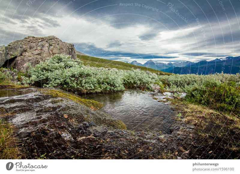 Pressure Umwelt Natur Landschaft Pflanze Wasser Wolken Gewitterwolken Klima Wetter schlechtes Wetter Unwetter Wind Regen Park Hügel Felsen Alpen