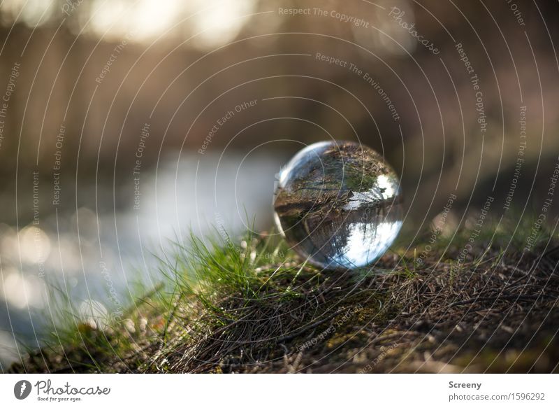 Nah am Wasser... Natur Landschaft Pflanze Erde Frühling Gras Wald Flussufer rund braun grün Gelassenheit geduldig ruhig Kristallkugel Glaskugel Hohes Venn