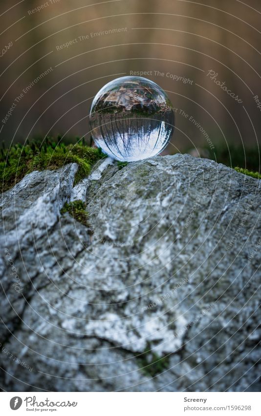 Over the top Natur Landschaft Frühling Moos Wald Felsen rund grau Gelassenheit geduldig ruhig Selbstbeherrschung Kristallkugel Glaskugel Farbfoto Außenaufnahme