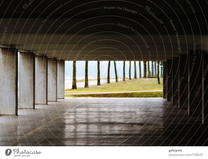 tunnelblick Gedeckte Farben Außenaufnahme Menschenleer Baum Park Flussufer Rhein Ludwigshafen Platz Parkhaus Gebäude Architektur Beton Linie glänzend kalt trist