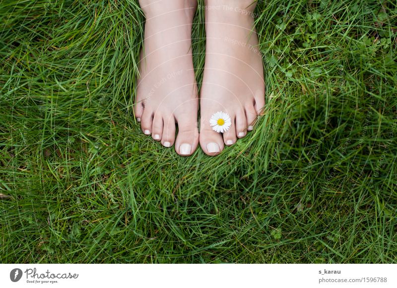 Sommerzeit Mensch feminin Fuß 1 Natur Frühling Gras Blüte Garten Park Wiese Erholung träumen Fröhlichkeit positiv grün Freude Glück Lebensfreude