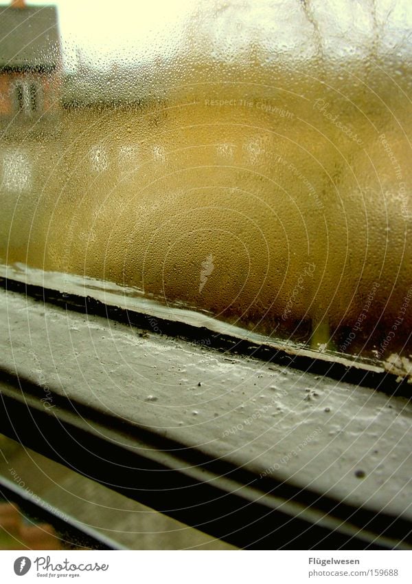 November sagt der Kalender Wassertropfen Herbst Wind Regen Fenster weinen trist Trauer Einsamkeit Raining rain autumn Fensterscheibe Traurigkeit Kondenswasser