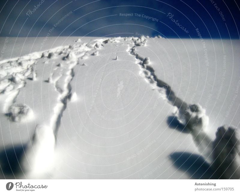 Schneekugel - Wettrennen Winter Natur Himmel Hügel kalt nass blau weiß Spuren Bahn Tiefschnee Schneebälle Farbfoto Blauer Himmel rollen gerollt