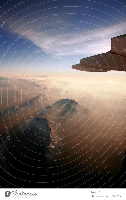 Über den Wolken... Himmel fliegen Flugzeug Flugschau Fliesen u. Kacheln blau Abend Dämmerung Berge u. Gebirge Alpen Luftverkehr