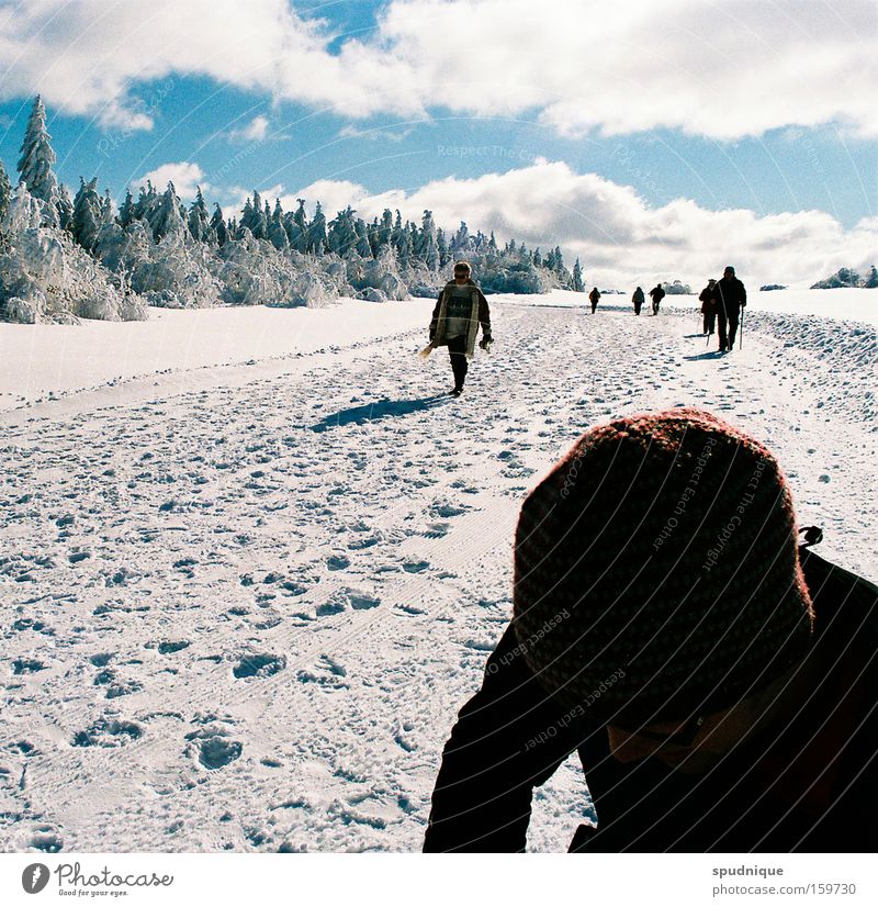 Tourismus Schnee Winter Eis Feld Wege & Pfade Spuren Raureif wandern Himmel Wolken weiß Ferne Freiheit schön