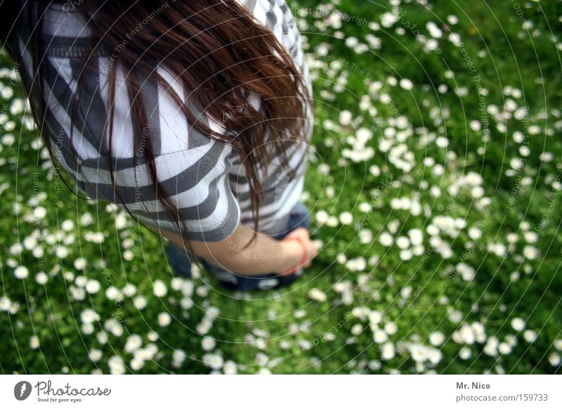 schulterstreifen Schulter Vogelperspektive Anatomie Streifen gestreift Wiese Blumenwiese groß Körperhaltung standhaft Jugendliche Oberkörper Kind Spielen