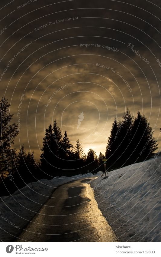 Der letzte Rest vom Tag... Winter Schnee Berge u. Gebirge Himmel Wolken Baum Verkehrswege Straße gold Bundesland Steiermark Sonnenuntergang Abenddämmerung