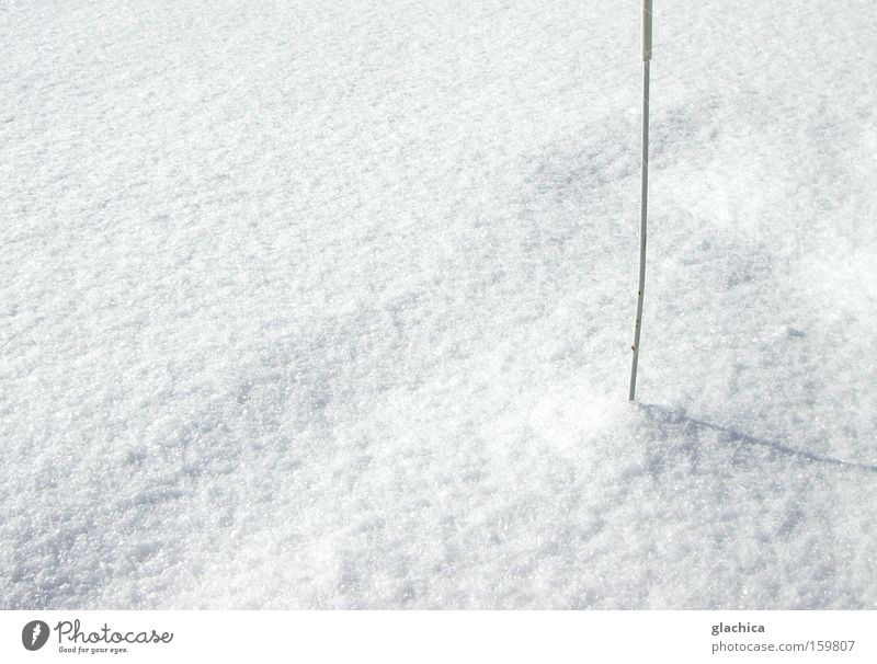 Schnee gepiekst kalt weiß Flocke Stab Stock piecken stechen stechend Berge u. Gebirge Eis leer ruhig Winter Vergänglichkeit