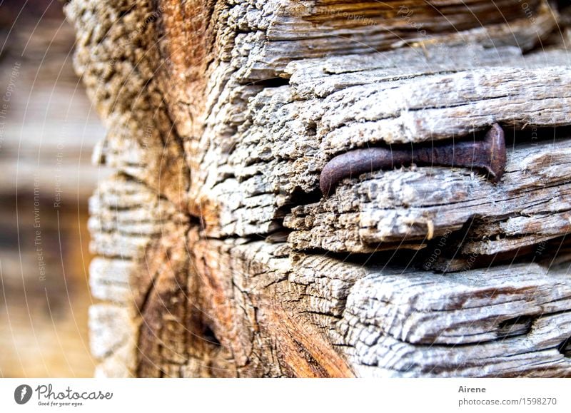 behämmert Hausbau Renovieren Holzwand Dorf Hütte Bauernhof Balken Nagel Rost alt kaputt braun grau Misserfolg Verfall Neigung krumm Biegung gekrümmt verwittert