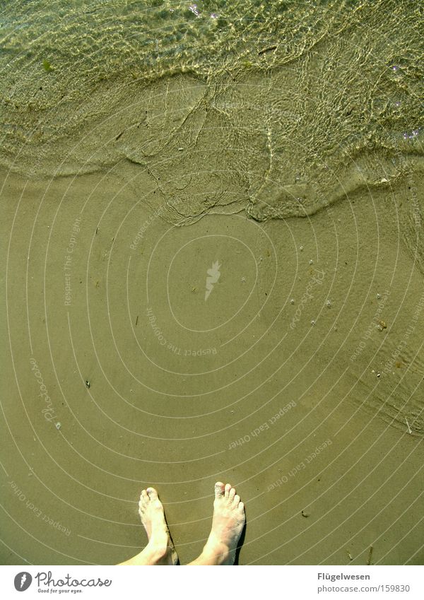 Trockene Füße Wasser Strand Sand Ostsee Meer Fuß Nordsee