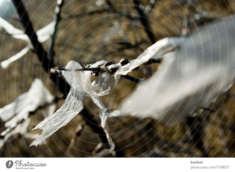 [HB 09.1] - flatterwunder flattern Wind Feld Wiese Geäst Baum Sträucher Kunststoff Nähgarn Schnur