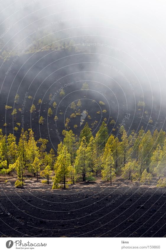 Elementar Farbfoto mehrfarbig Außenaufnahme Menschenleer Textfreiraum rechts Textfreiraum unten Kontrast Sonnenlicht Zentralperspektive Berge u. Gebirge Umwelt