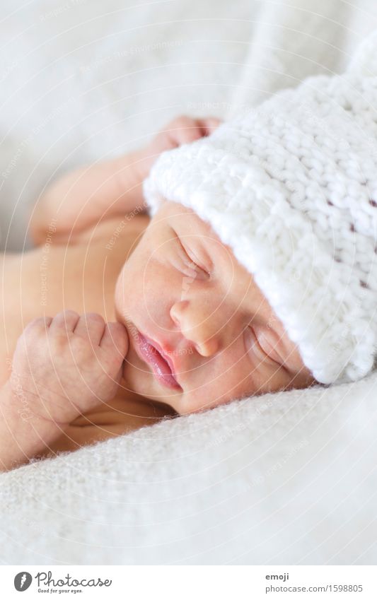 sleep Baby Kindheit Gesicht 1 Mensch 0-12 Monate Mütze schlafen hell kuschlig klein weiß Farbfoto Innenaufnahme Nahaufnahme Tag Schwache Tiefenschärfe