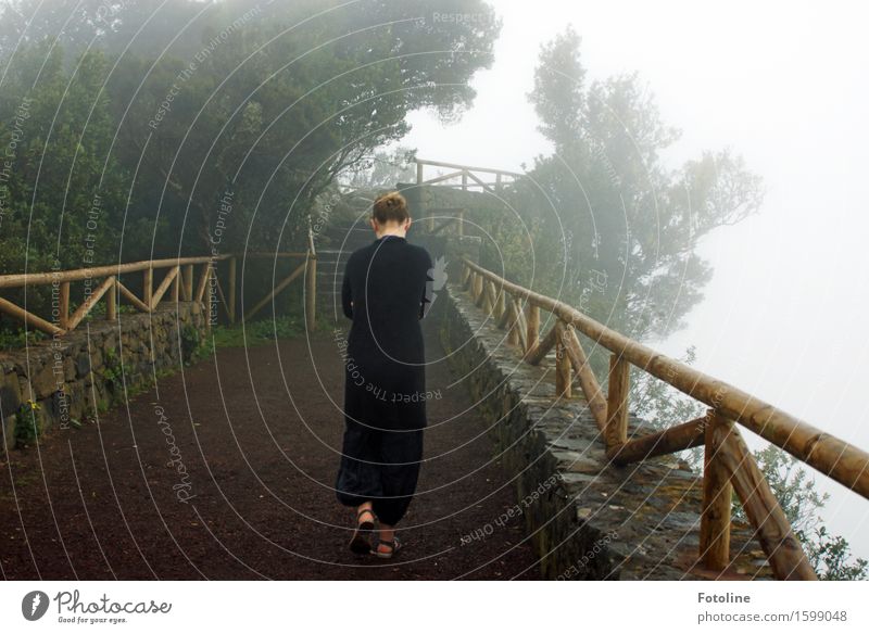 In Gedanken Mensch feminin Mädchen Junge Frau Jugendliche Kindheit 1 Umwelt Natur Landschaft Pflanze Urelemente Erde Sand Himmel Wolken Nebel Baum Wildpflanze