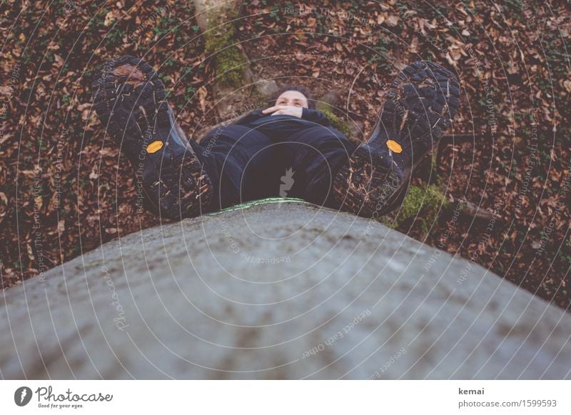 Downside up Freizeit & Hobby Freiheit Mensch feminin Frau Erwachsene Leben 1 Natur Frühling Baum Baumstamm Blatt Wald Stiefel Wanderschuhe Erholung genießen