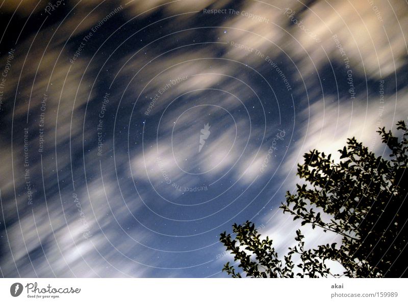 Sturmtief Wolken Wolkenloch Wolkenfeld Nacht Stern Baum Baumrinde Natur blau Meinung Zweig Abend Himmel Weltall Langzeitbelichtung akai Sternenhimmel