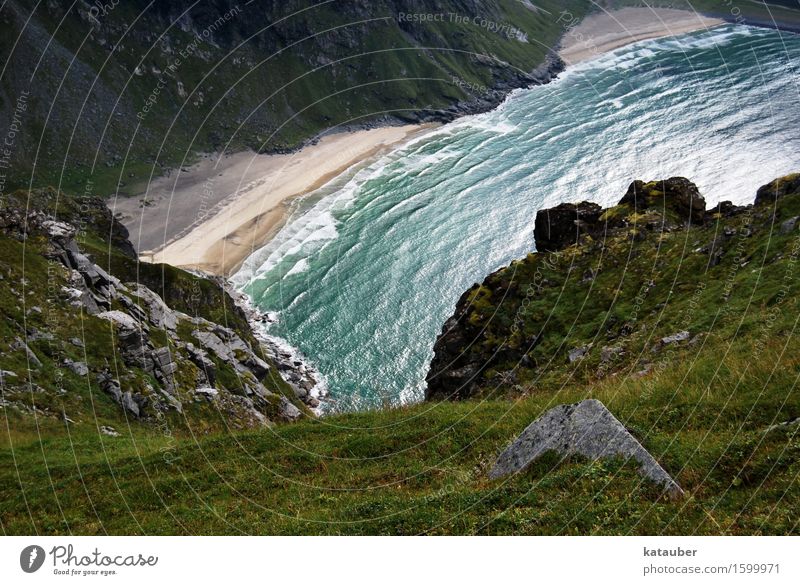 raubt den atem Landschaft Wiese Berge u. Gebirge Wellen Küste Strand Bucht Blick wandern hoch schön Höhenangst Abenteuer Lofoten Norwegen kvalvika ryten Sommer