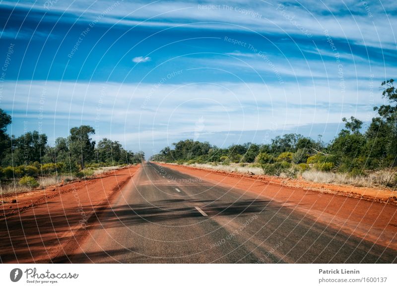 Outback schön Erholung Ferien & Urlaub & Reisen Ausflug Abenteuer Sommer Umwelt Natur Landschaft Urelemente Erde Sand Himmel Wolken Sonne Klima Klimawandel