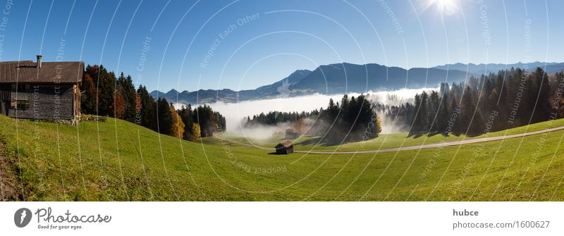 Herbststimmung oberhalb von Egg im Bregenzerwald Glück harmonisch Ferien & Urlaub & Reisen Tourismus Ferne Freiheit Berge u. Gebirge wandern Umwelt Natur