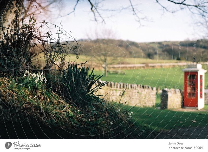 Tynehem (Südengland) Garten Telekommunikation Telefon Telefonzelle Natur Landschaft Pflanze Frühling Baum Blume Wiese Blühend Kommunizieren historisch grün rot