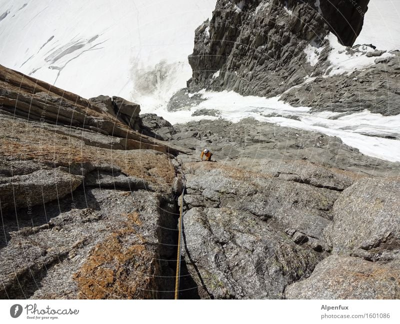 Long way to go Berge u. Gebirge Klettern Bergsteigen Felsen Alpen Mont-Blanc du Tacul Gletscher fallen frieren sportlich Erfolg oben Kraft Willensstärke Mut