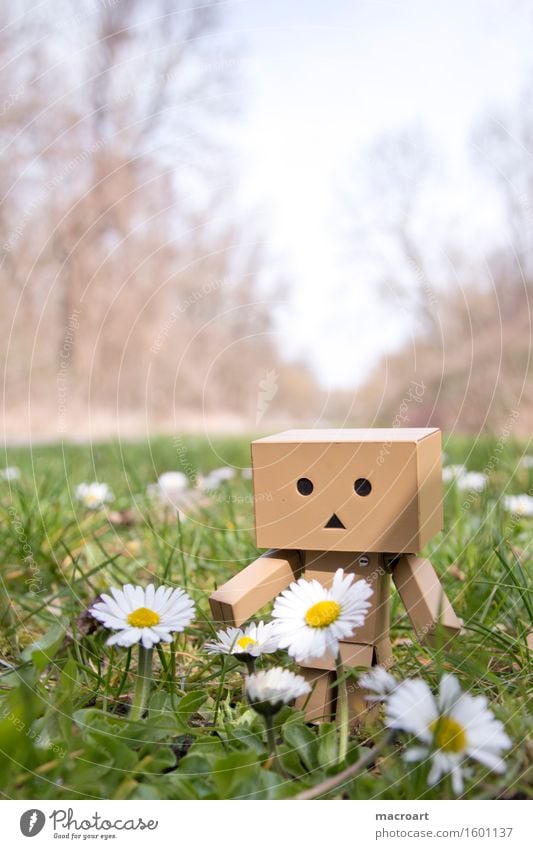 Sommer Sonne Wiese danboard Roboter klein Mann Körper Figur Leben genießen Dinge Gänseblümchen Gesicht Pflanze Rasen Natur natürlich Spaziergang ruhig