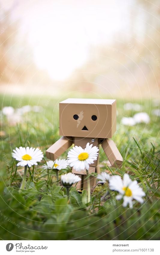 Mini Roboter Wiese Gras Figur Blumenwiese Frühling Sommer danboo danboard Karton Gesicht Kreis Dreieck grün Natur natürlich Außenaufnahme männchen Spielzeug