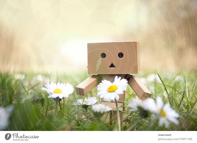 Roboter Wiese Gras Figur Blumenwiese Frühling Sommer danboo danboard Karton Gesicht Kreis Dreieck grün Natur natürlich Außenaufnahme männchen Spielzeug Spielzug