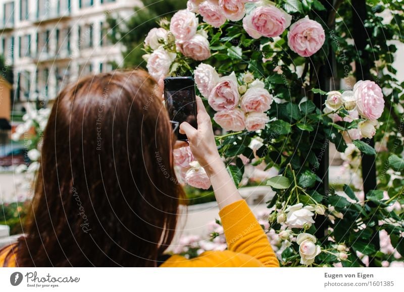 Rosengarten Fotografie Ausflug Sommer feminin Kopf Haare & Frisuren 1 Mensch 18-30 Jahre Jugendliche Erwachsene Blume Garten Park Kleinstadt Stadt langhaarig