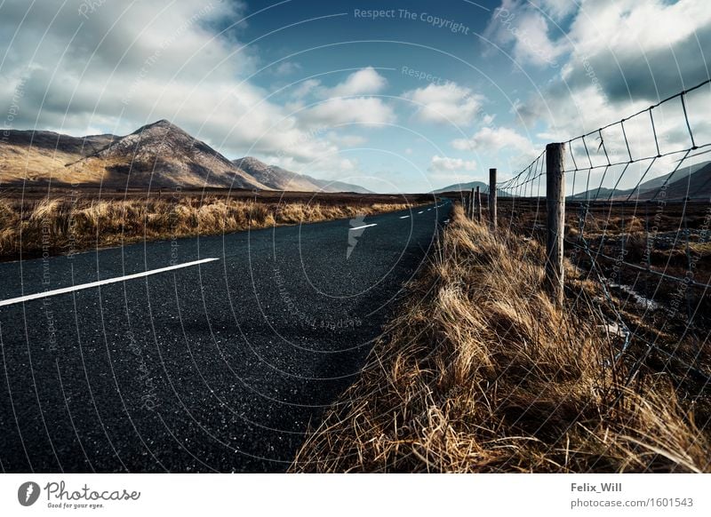 Endless Road Ausflug Abenteuer Ferne Freiheit Sightseeing Natur Landschaft Himmel Wolken Schönes Wetter Hügel Autofahren Straße Hochstraße blau braun gelb grau